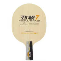 DHS POWER G7 PG7