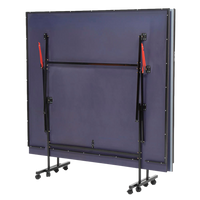 Mesa de Ping Pong ProFold 12 mm